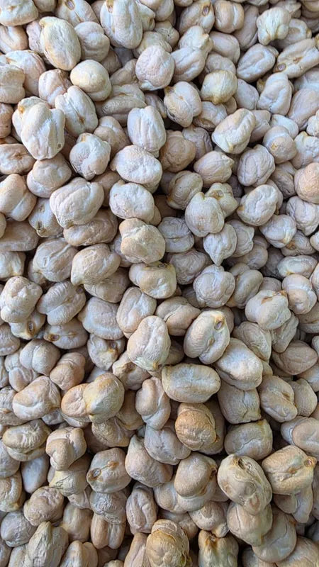 Organically Grown Kabuli Chana / Bold