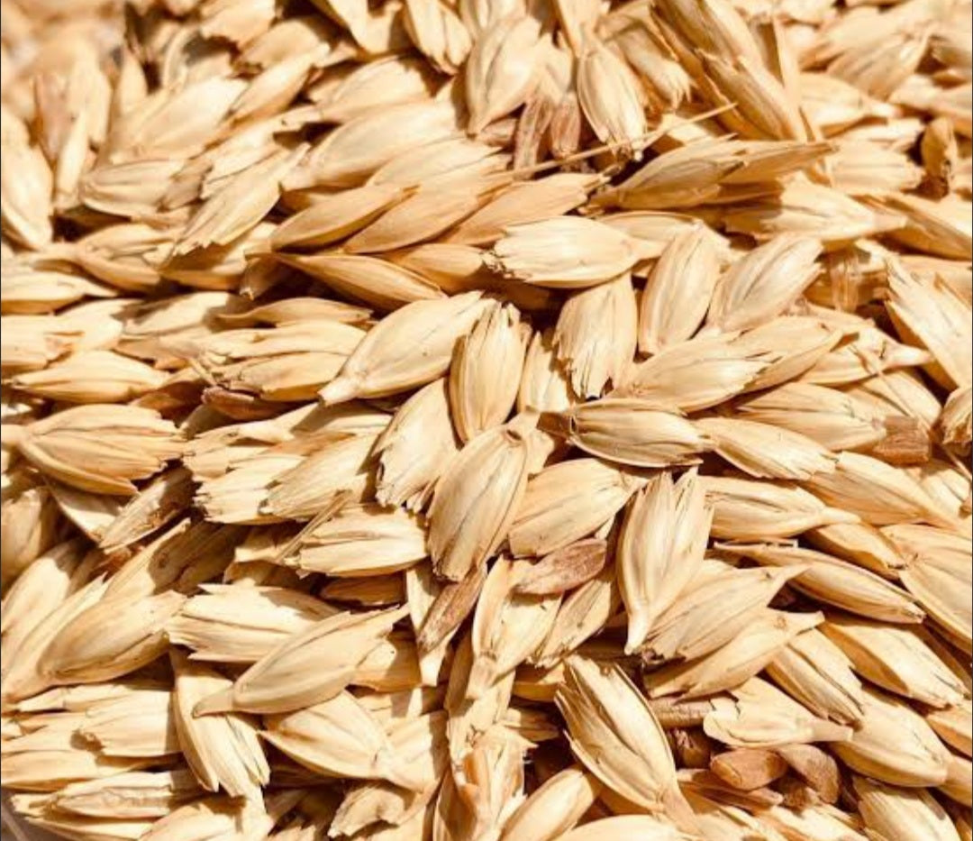 Premium Organic Khapli Wheat