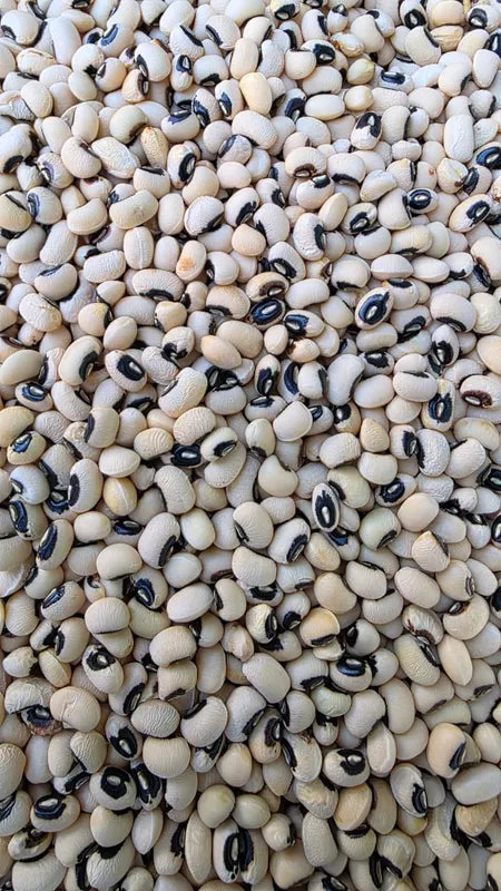 Organically Grown Lobiya / Cowpea / Black eye bean