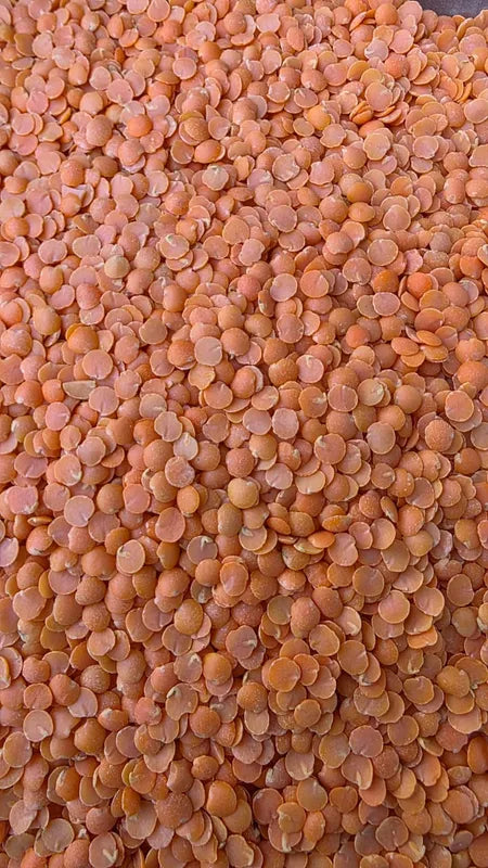 Organically Grown Masoor Dal / Red Lentil Split