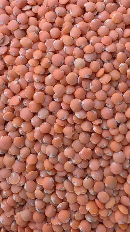 Organically Grown Masoor Malka / Masoor Gota / Red Lentil