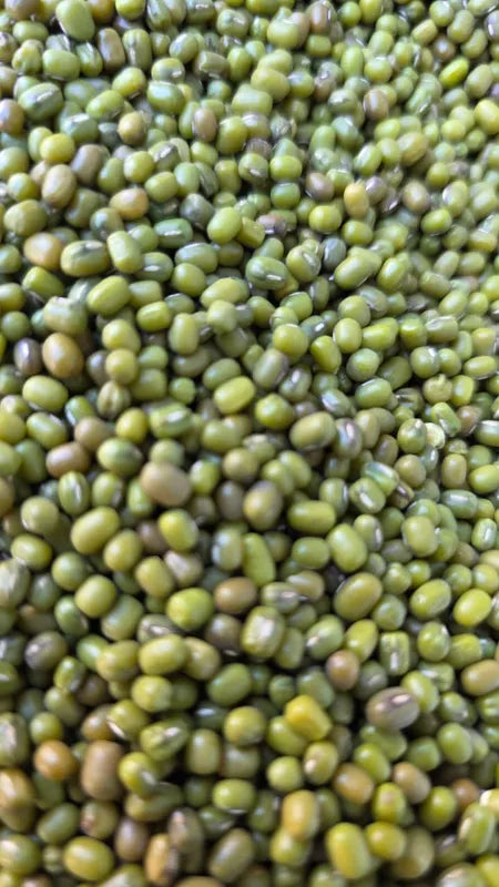 Organically Grown Moong Whole / Moong Sabut / Green Gram Whole