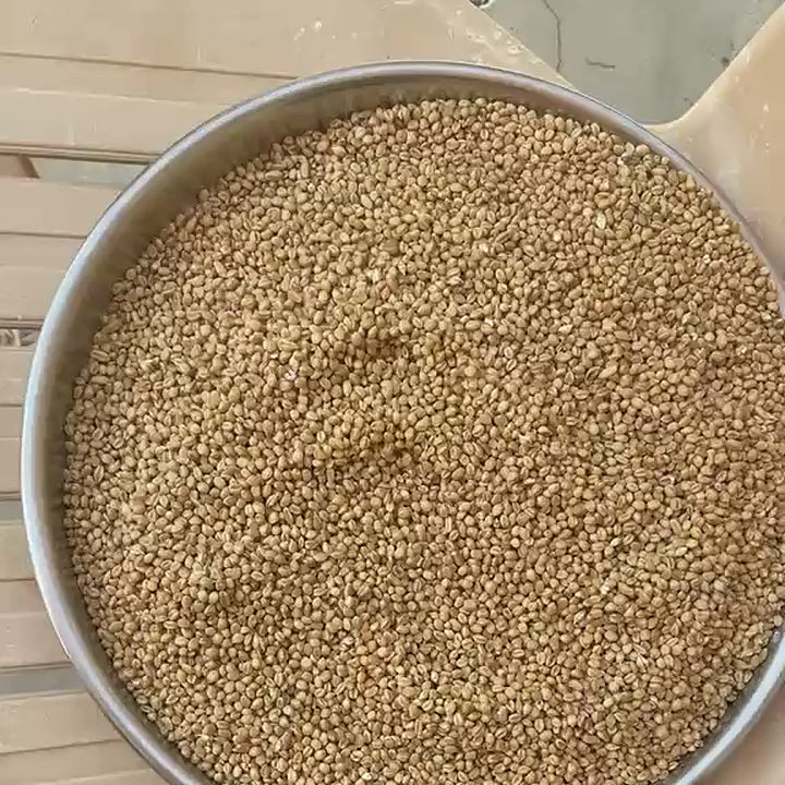 True Organic Sonamoti Wheat