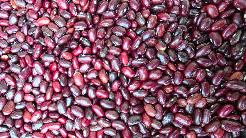 Organically Grown Red Rajma Small (Jammu)