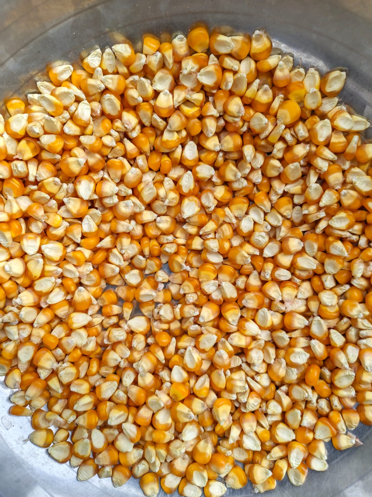 True Organic Maize (Makka)