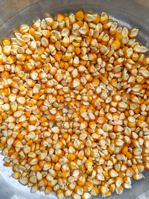 True Organic Maize (Makka)