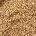 True Organic Sonamoti Wheat