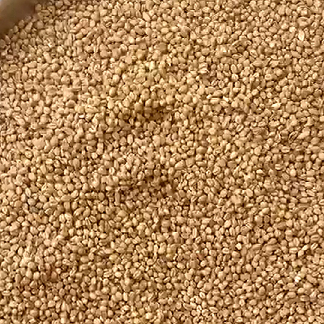 True Organic Sonamoti Wheat
