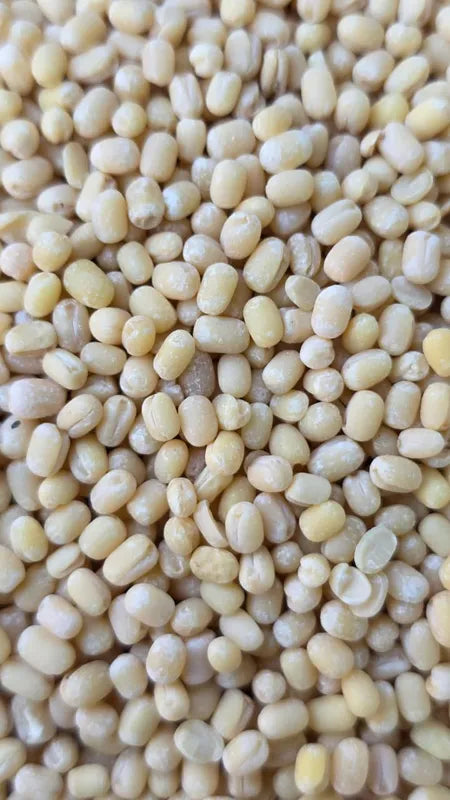 Organically Grown Urad White Whole / Urad Gota